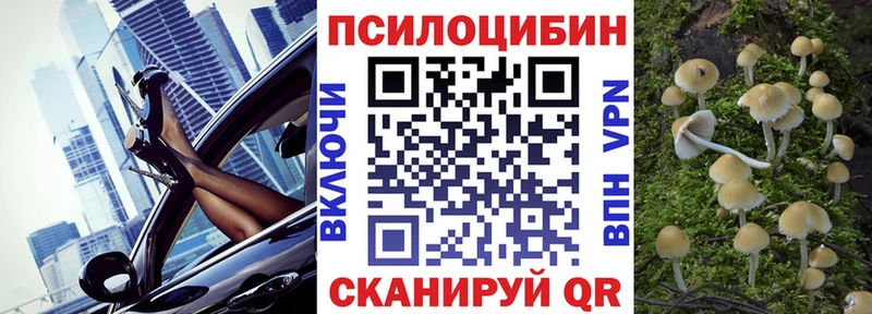 blacksprut   Инсар  Галлюциногенные грибы Magic Shrooms  как найти закладки 